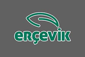Erçevik Zeytin