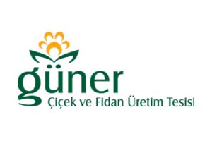 Güner Çiçek